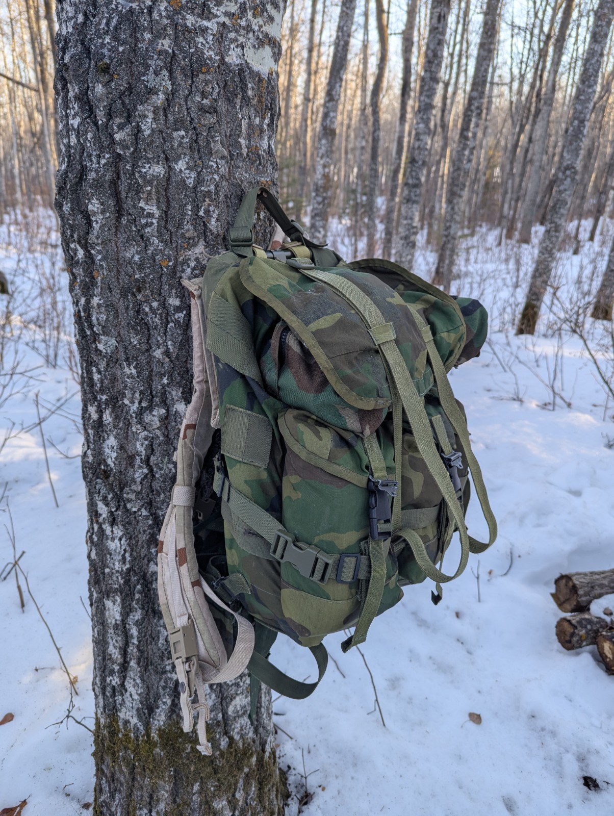 Medium Alice Pack Woodland Complete With Accessories