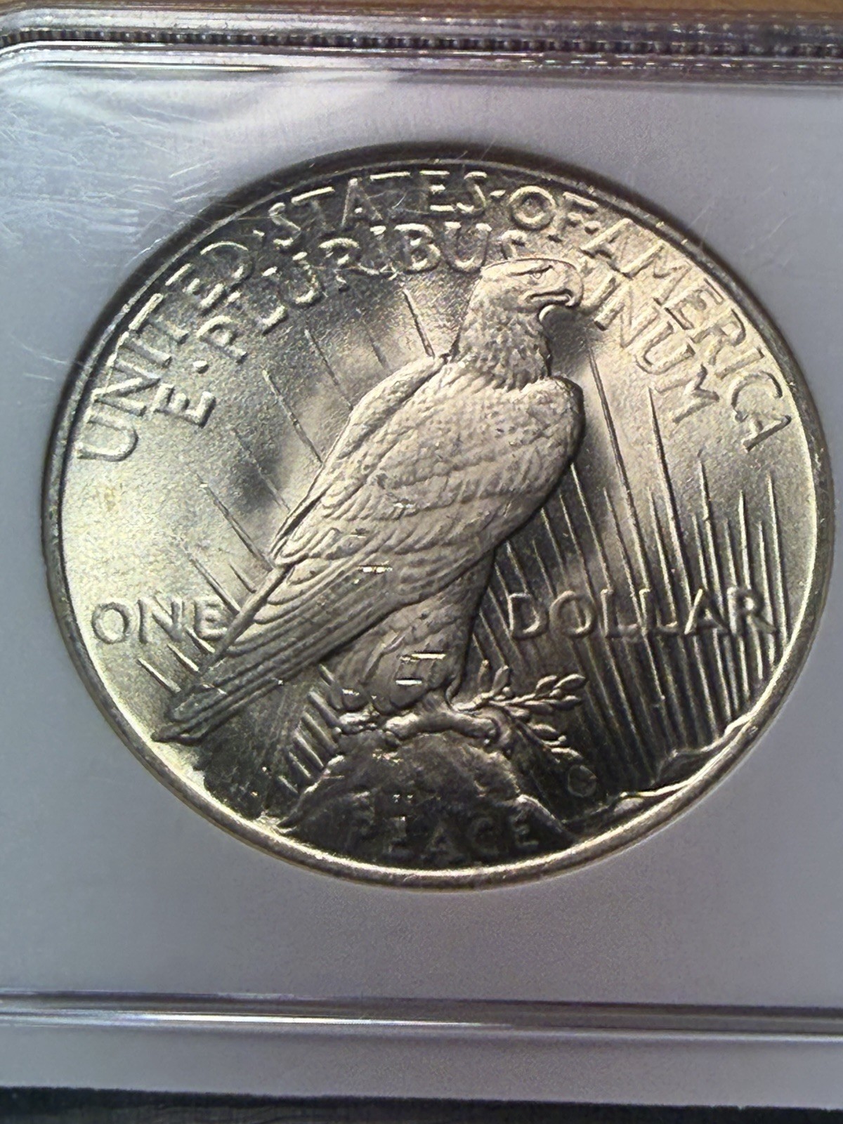 1925 Peace Dollar - NGC MS64 - PQ Gem - As Shown!
