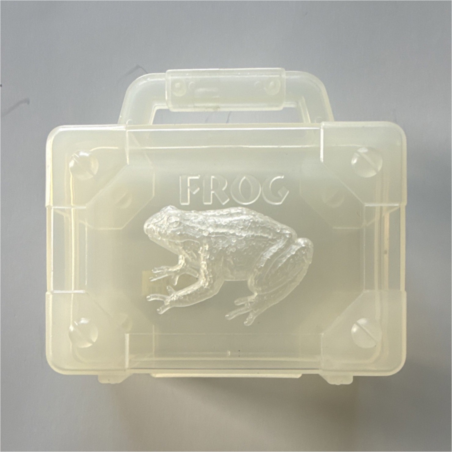 Rare Disney Clear Plastic Lidded Storage Box Rectangle Frog Design