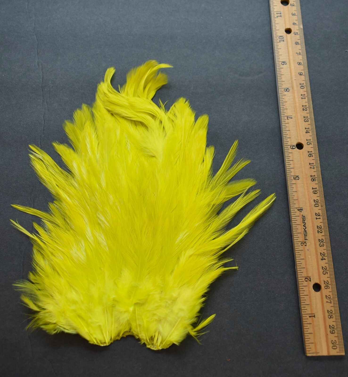 Lot  47,  Dyed Bright Yellow India Rooster Saddle Feathers for Fly Tying Jewelry
