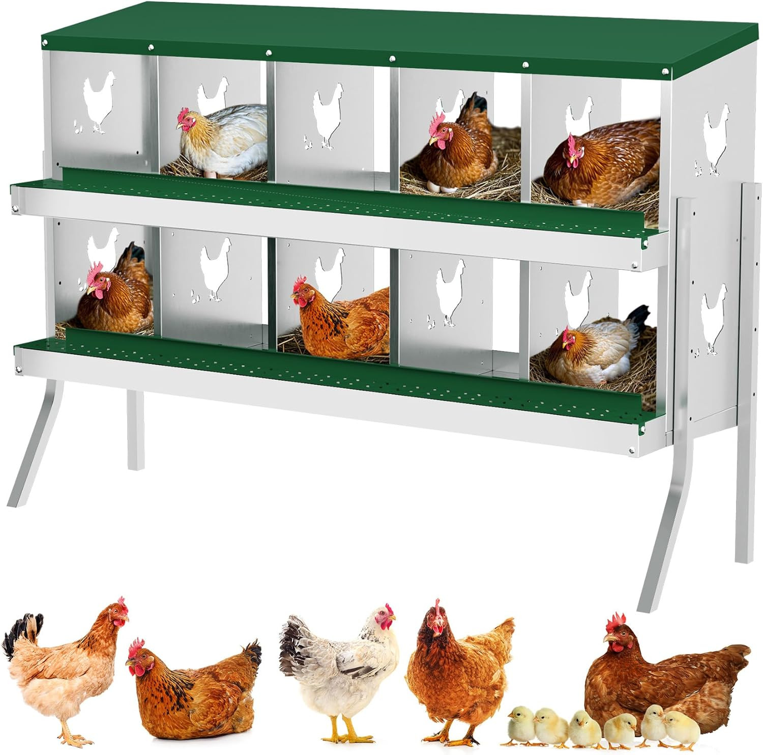 Chicken Nesting Box 10 Compartment Metal Easy Collection & Easy Cleaning W/ Legs