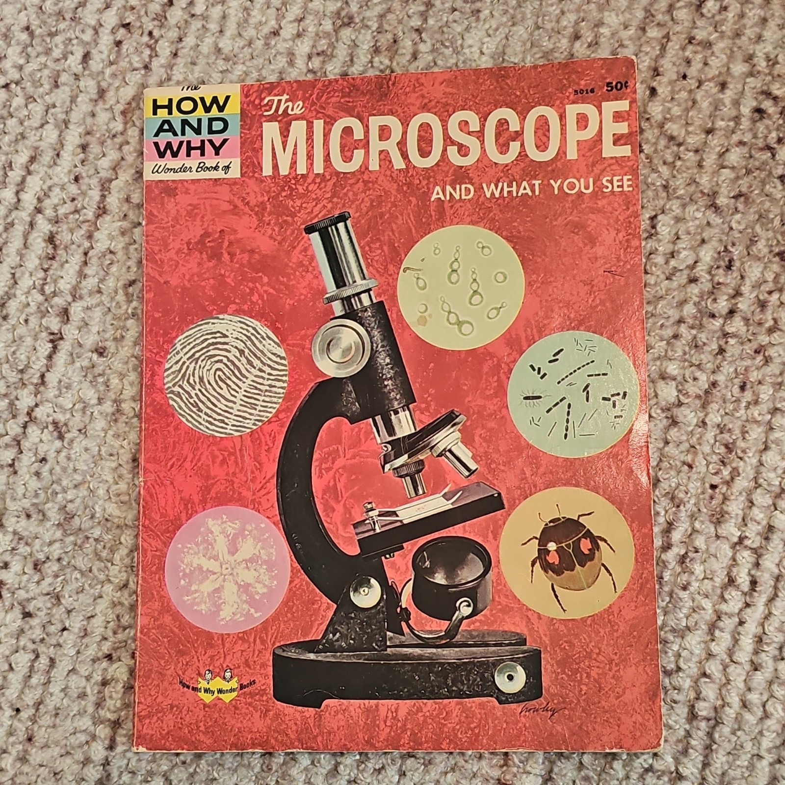 Wonder Books The Microscope and What You See 1961 Educational Science 8-11 Years