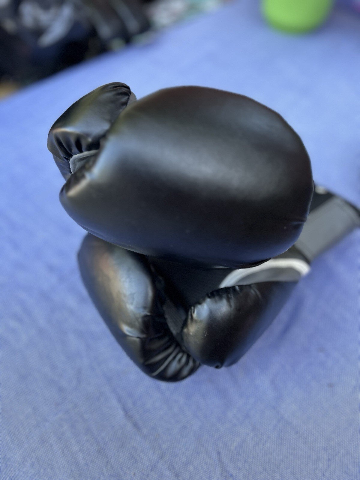Everlast Training Boxing Gloves Pro Style Elite Evershield 16 Ounces Black Gray