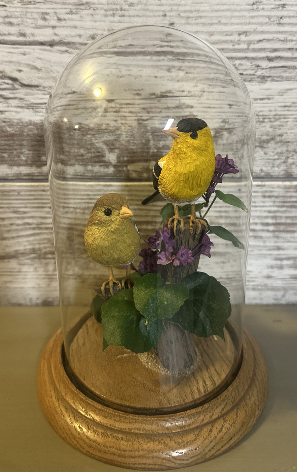 William DeSelms Wings “American Gold Finches”