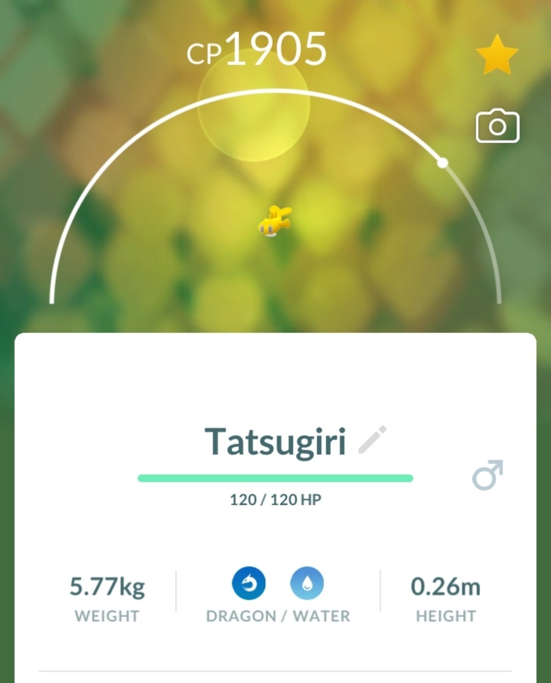 Pokémon Tatsugiri Stretchy Go