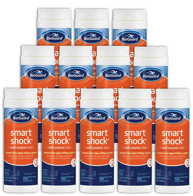 BioGuard Smart Shock Pool Chlorine 2 lb - bottles - 12 Pack