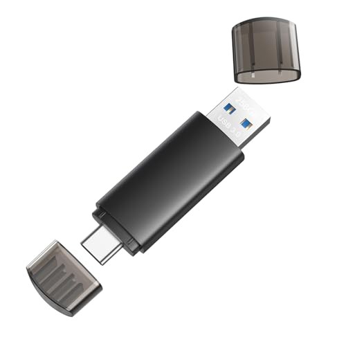 256GB USB C Flash Drive Dual USB 3.0 Flash Drive Type C + USB A 256 Gb 1 Pack