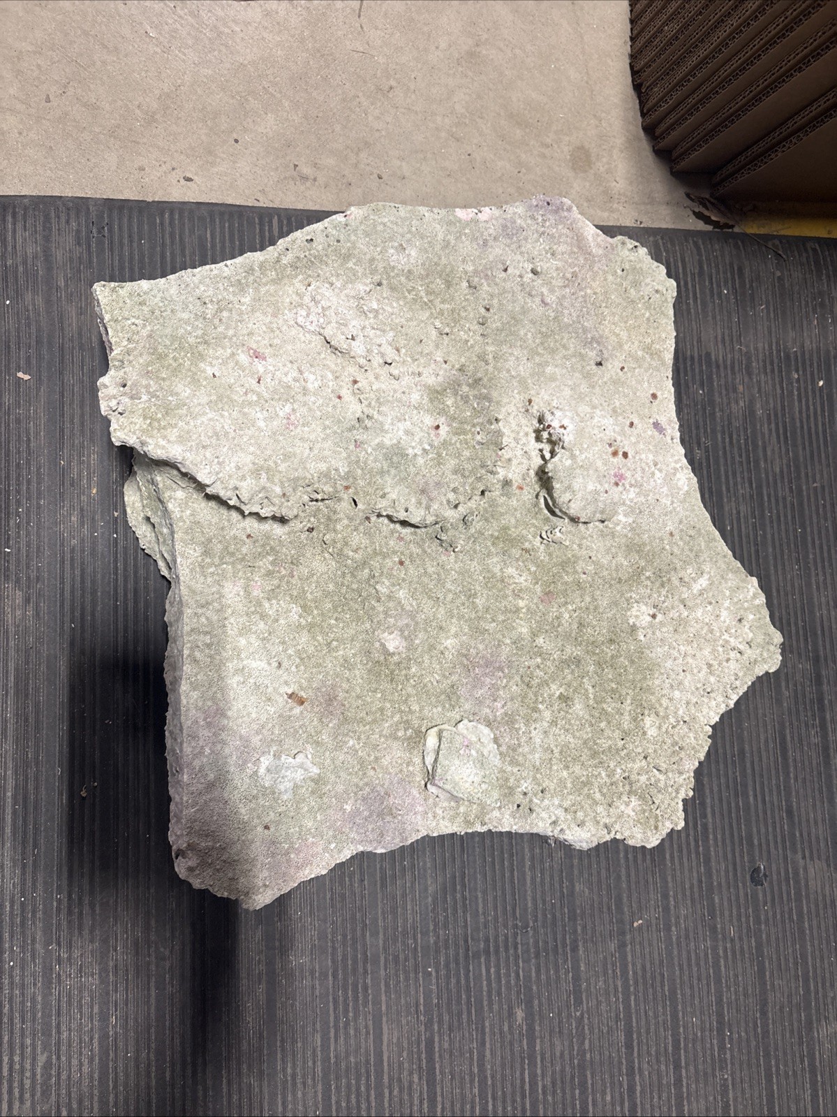 Large Plate Rock
