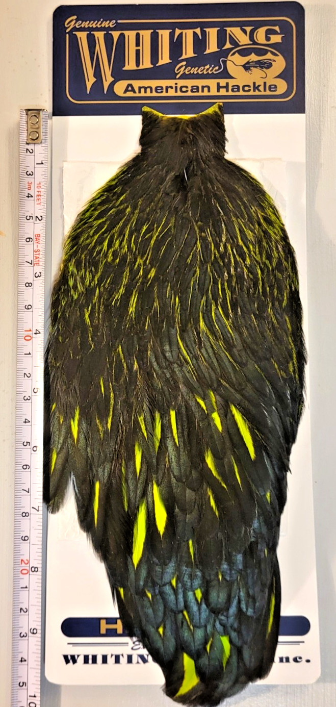 Whiting American Hackle, Hen Cape, BLW Dyed Fluor. Green Chartreuse, Fly Tying