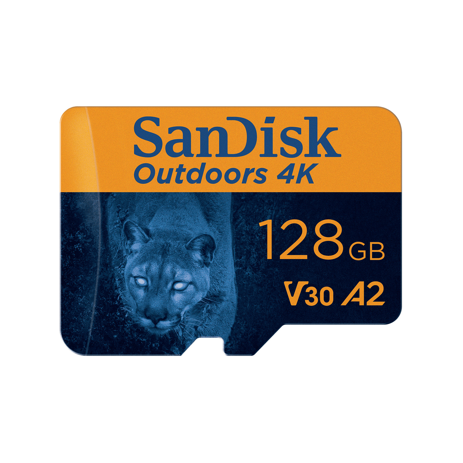 SanDisk 128GB Outdoors 4K microSDXC UHS-I Memory Card 2-Pack SDSQXAA-128G-GN6VT