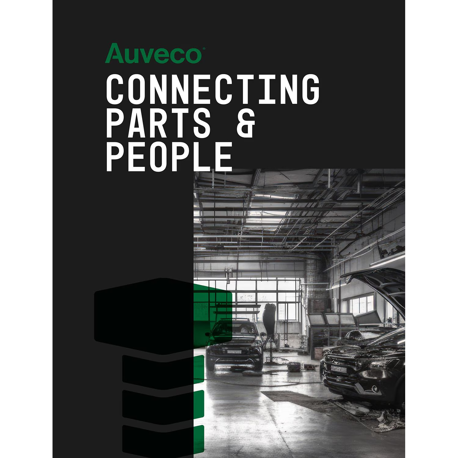 Auveco Auveco Heat Shrink Tube(25 Pack) - 18694
