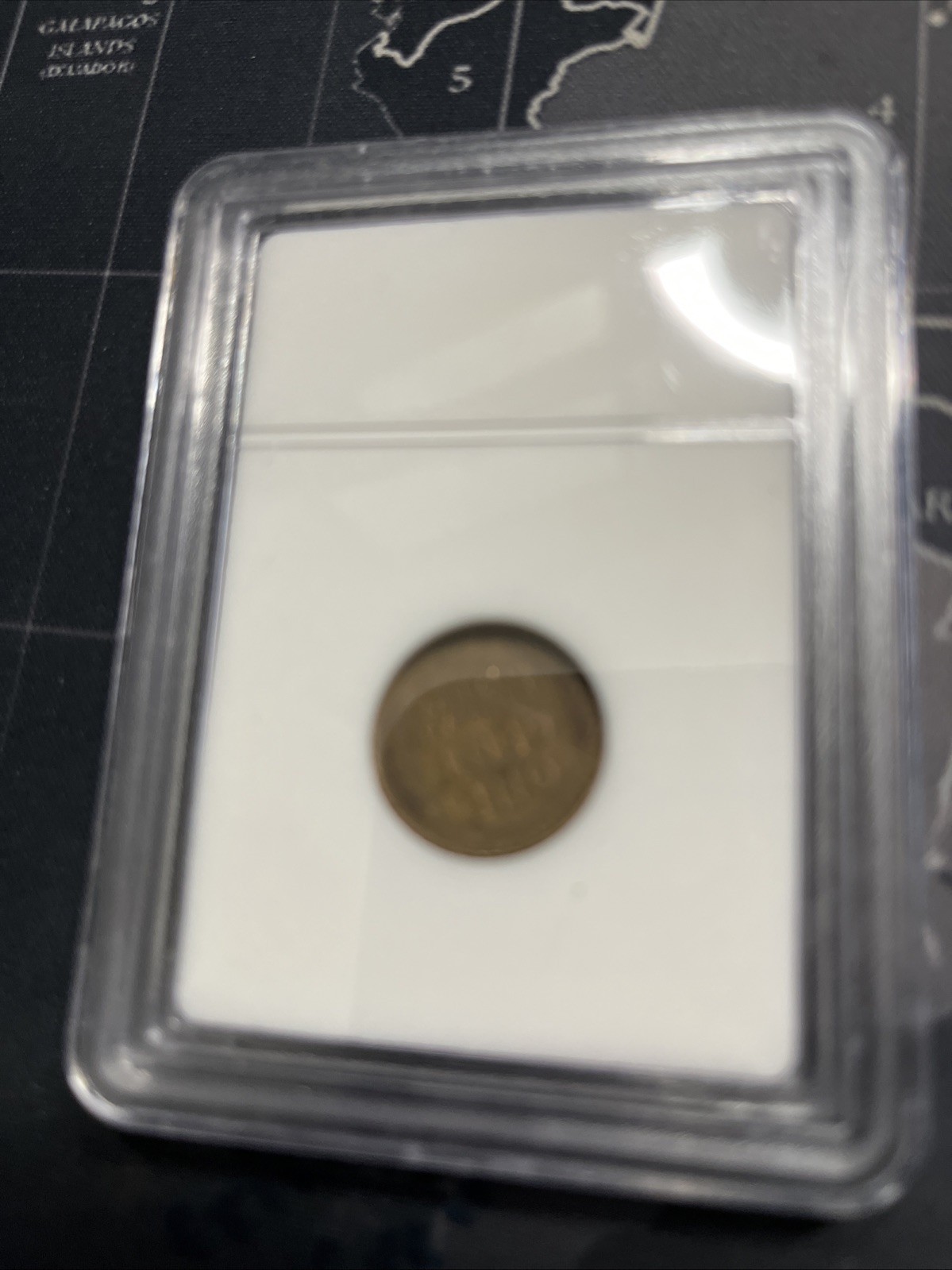 San Francisco Mint Wheat Cent One Slabbed INB Certified Old Coin Slab Shell