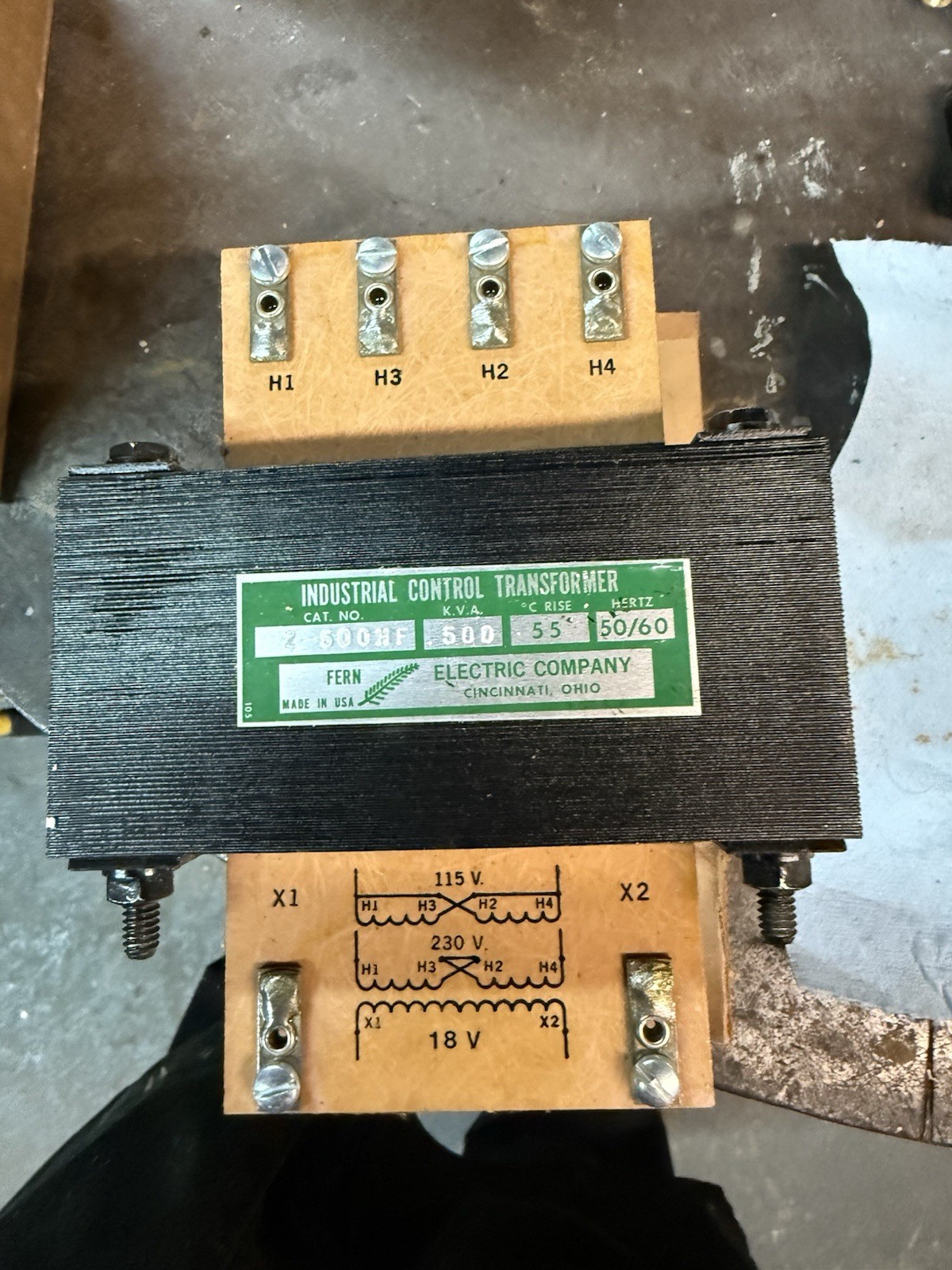 Transformer Fern Electric