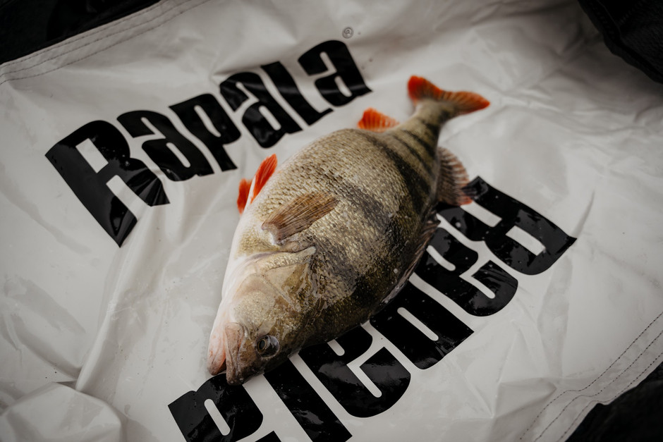 Rapala Weigh & Release Mat