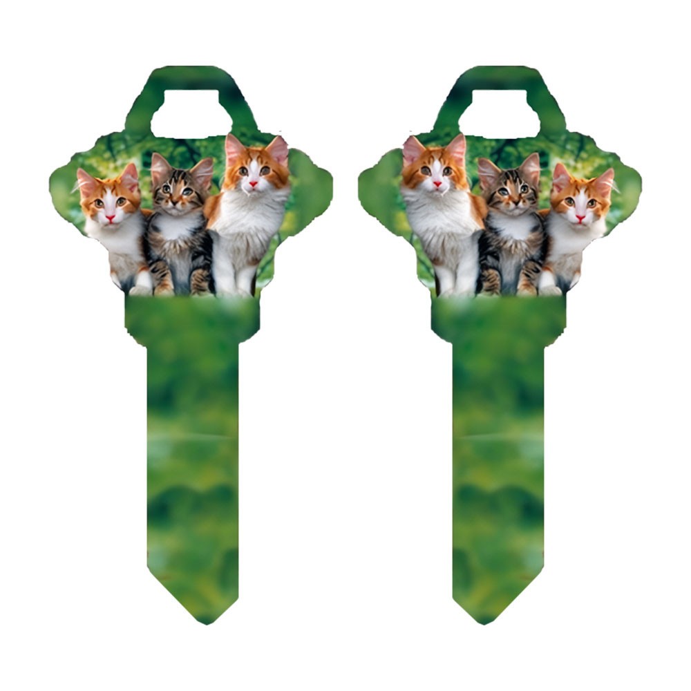 SC1 Kittens Key Blank
