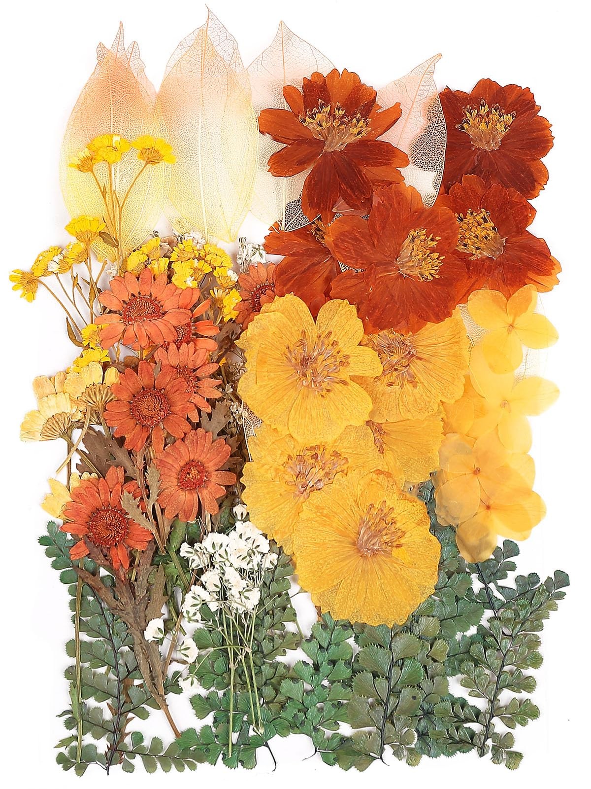 100 PCS Real Dried Pressed Flowers Leaves Natural Plant Herbarium for DIY Res...