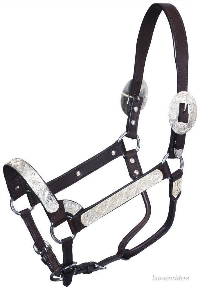 Silver Show Halter-Dark Oil Leather-Rope Design Horse Size-Matching Lead Shank