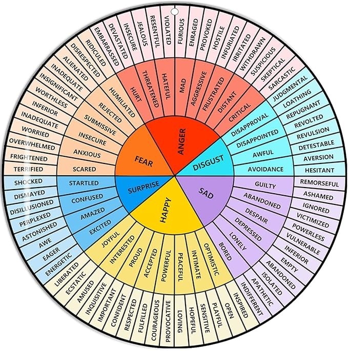 Feelings Wheel Large 12 inch Acrylic Emotion Wheel Chart For Therapy School C...