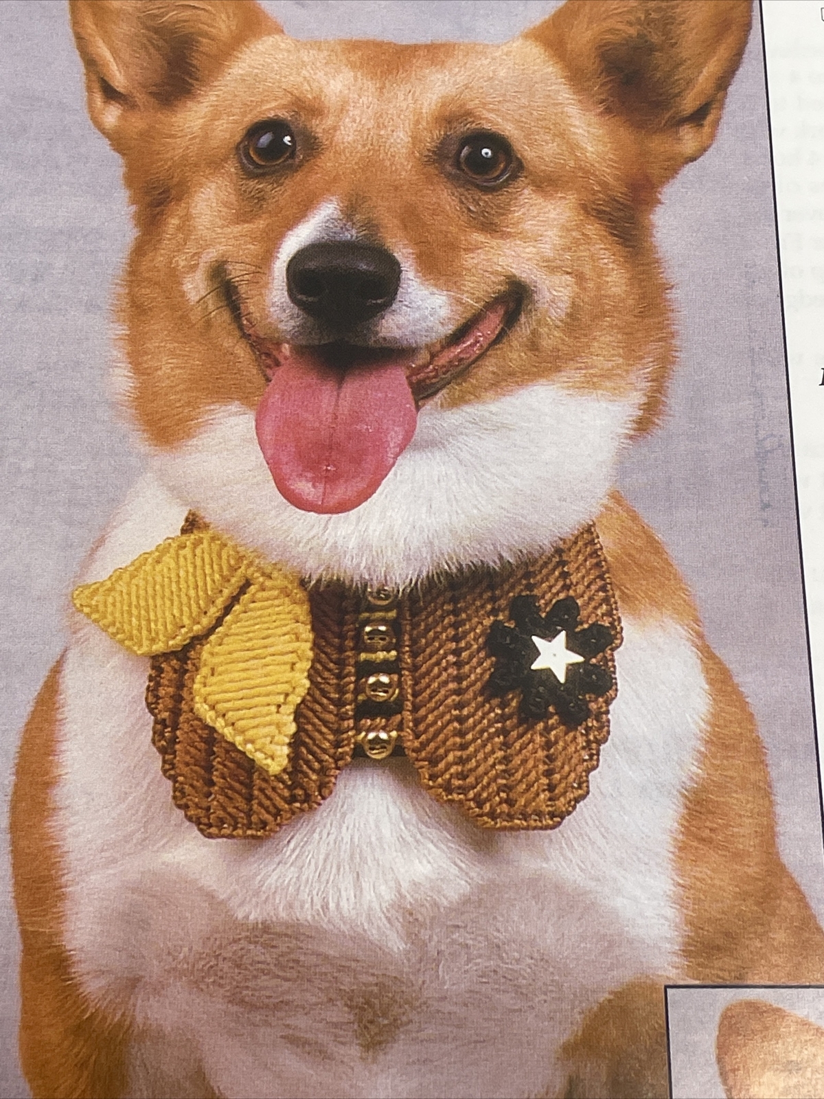 Annie's Attic Pet Collars Western & Bow Plastic Canvas Pattern