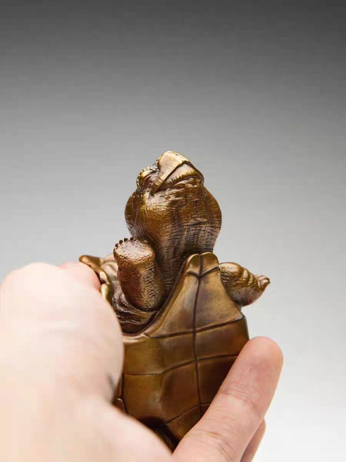 Solid Bronze Copper Galapagos Tortoise Turtle Statue Artwork Decor handcraft
