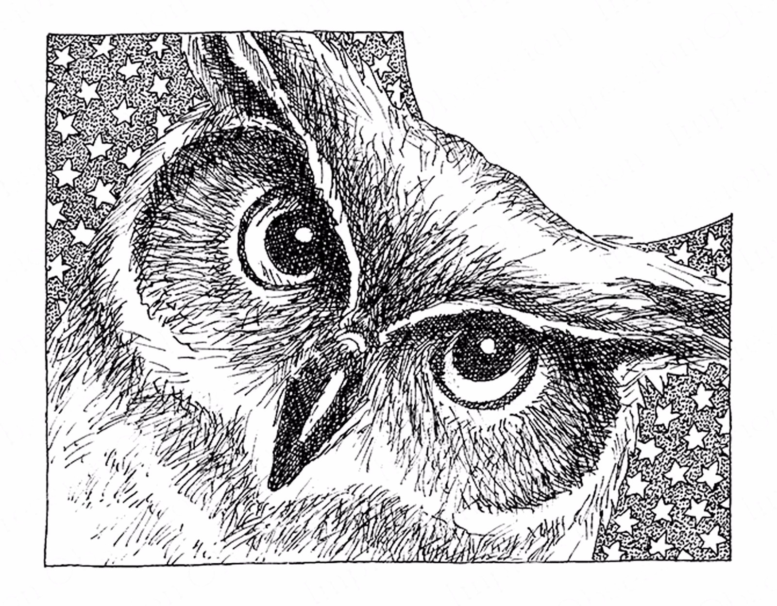 Star OWL Bird Wood Mounted Rubber Stamp IMPRESSION OBSESSION H2543 New