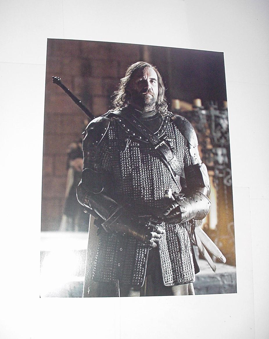 Game of Thrones Poster #12 Sandor "The Hound" Clegane Rory McCann