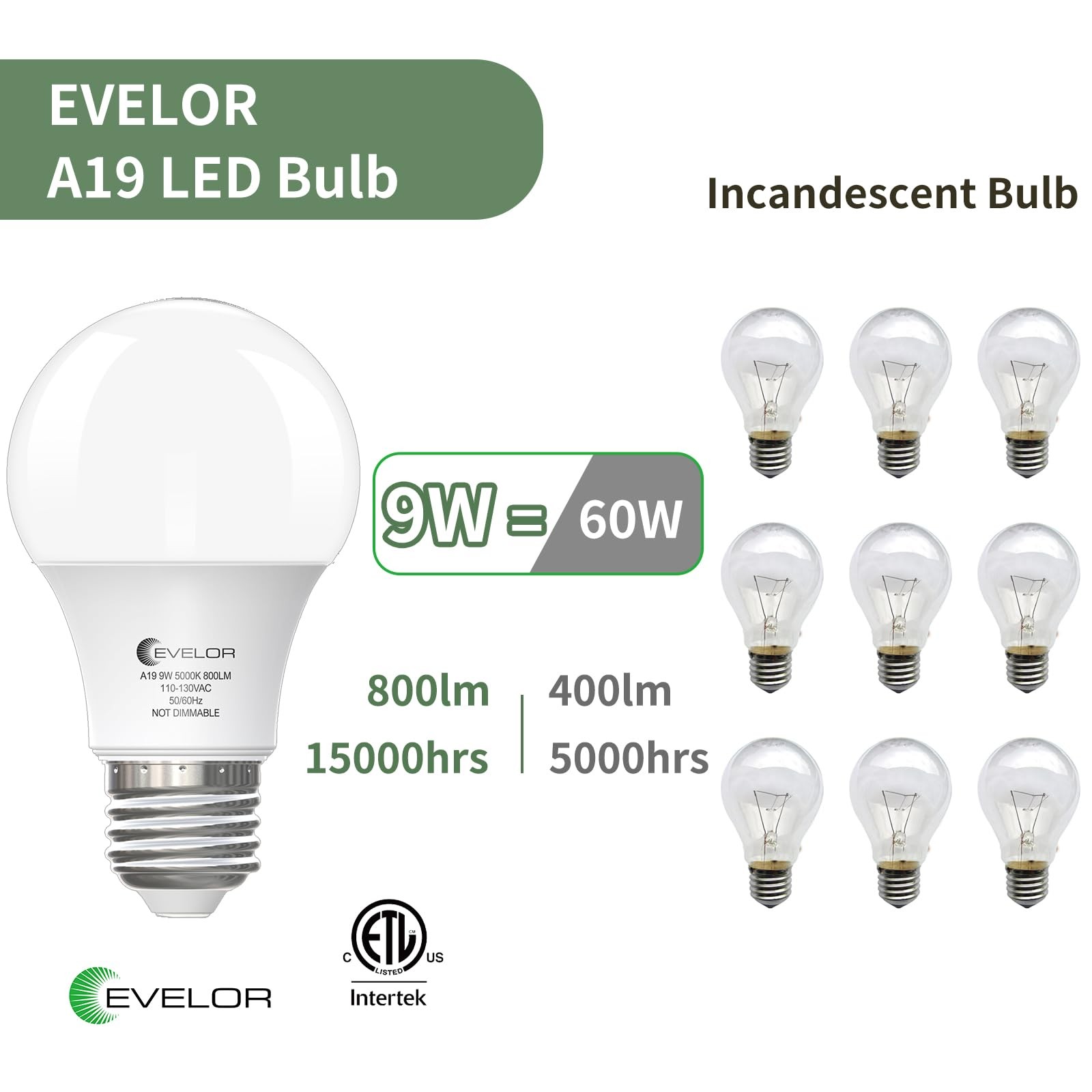 A19 LED Light Bulbs,60 Watt Equivalent Daylight 5000K with E26 Base,Efficient...