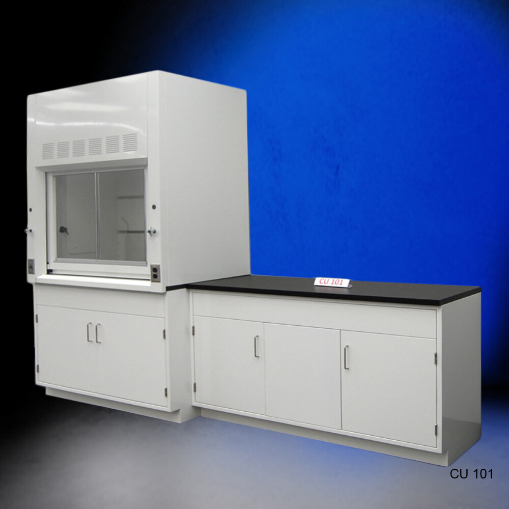 Fisher American 4' Fume Hood w/ General Storage & 5' Laboratory Cabinet / E1-252