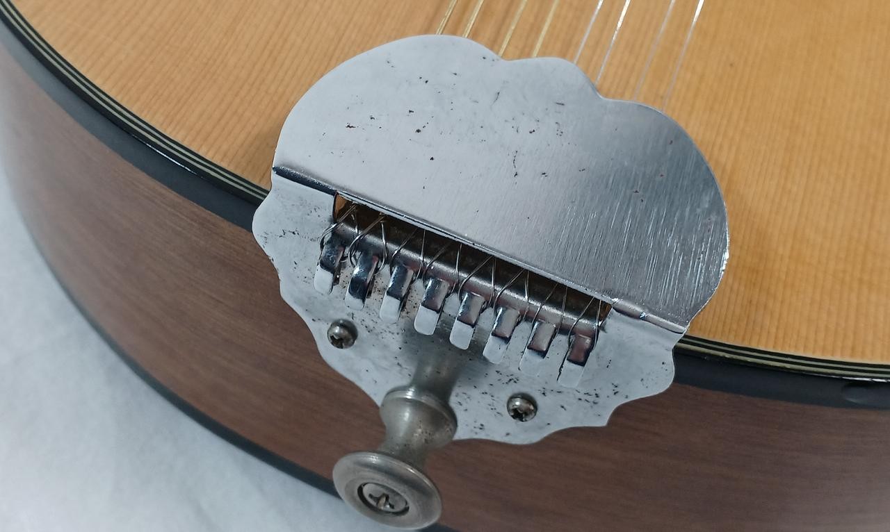MORENA Flat Mandolin