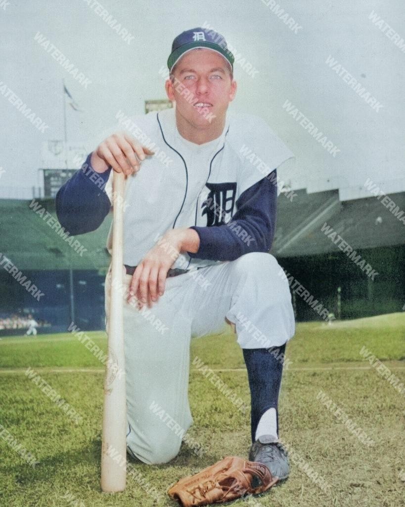 GV735 Al Kaline Detroit Tigers 8x10 11x14 16x20 Colorized Photo