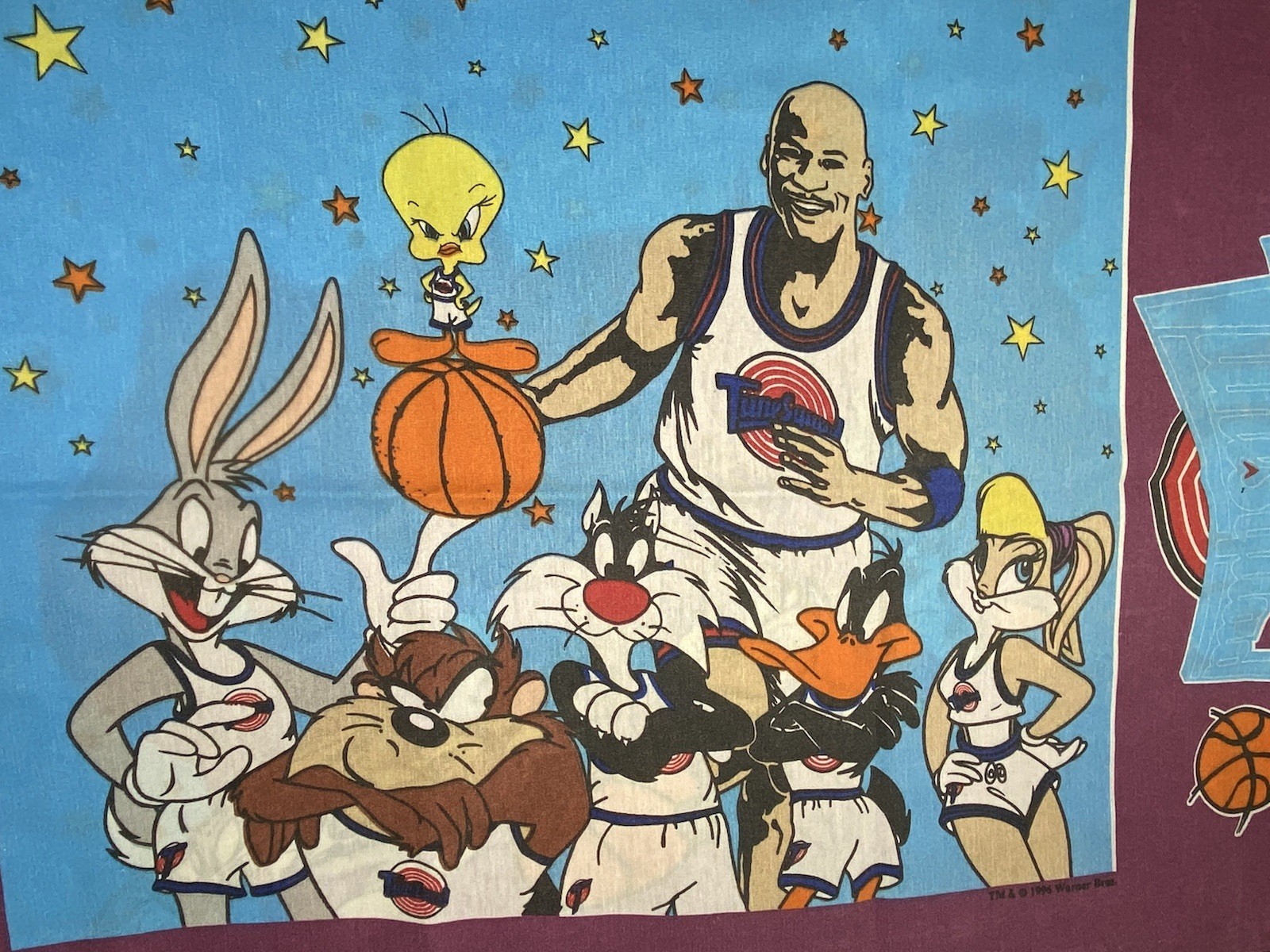 Vintage 1996 Space Jam Tune Squad Monstars Standard Pillow Case Jordan Bugs Taz