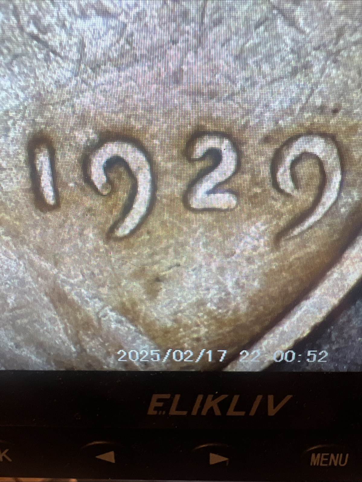 1929 Lincoln Wheat Cent No Mint Mark Fine