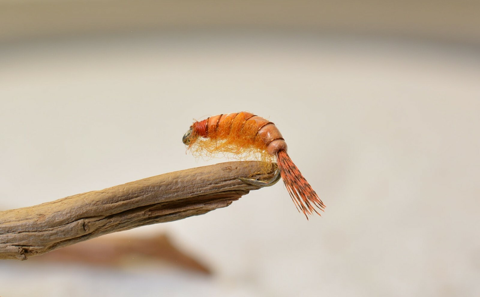 12 Flies - Scuds Nymph Fishing Fly - Orange - Mustad Signature Hooks
