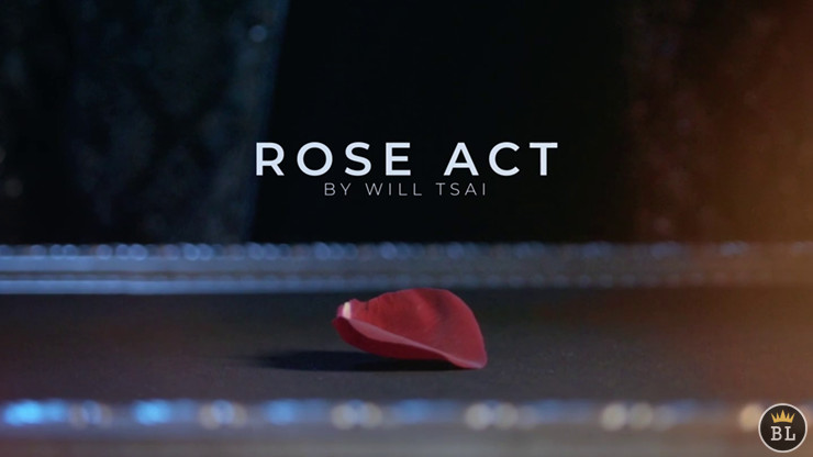 Visual Matrix AKA Rose Act Valorous Silver by Will Tsai and SansMinds
