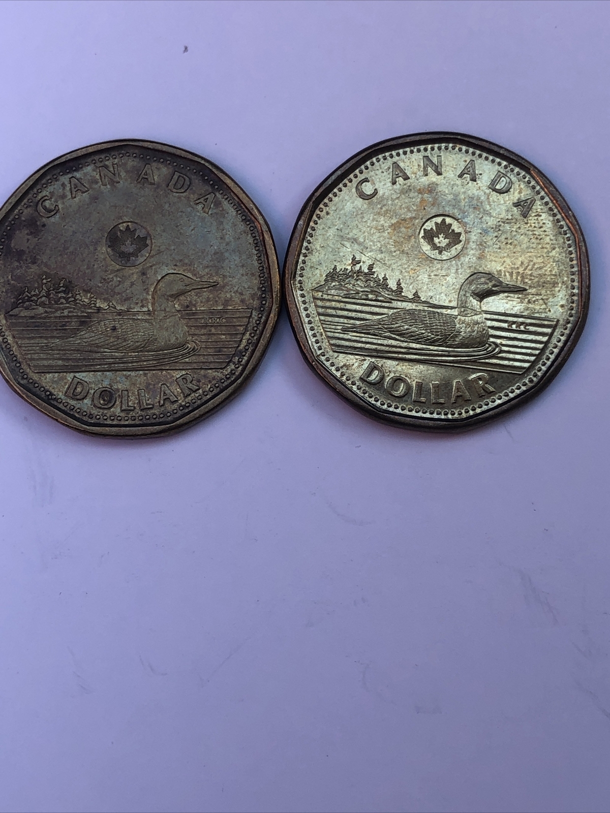 2 x Canada One Dollar $1  Coins Lucky Loon 2012 Loonie