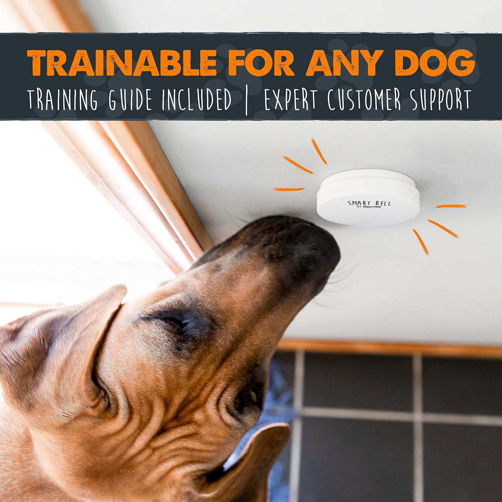 Smart Bell Potty Training Button - Easy, Reliable 2 Pack, Durable