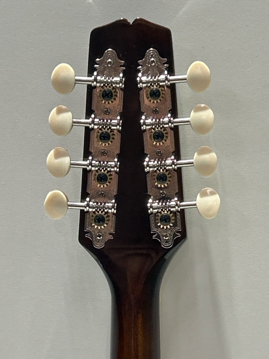 KENTUCKY MANDOLIN KM-156 8-STRING (P22016212)