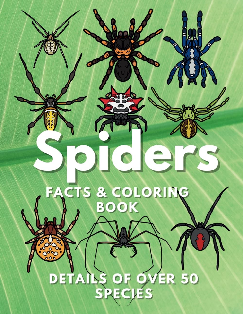 Spiders: Facts & Coloring Book: Fun Facts and Colouring Activity Book for Childr
