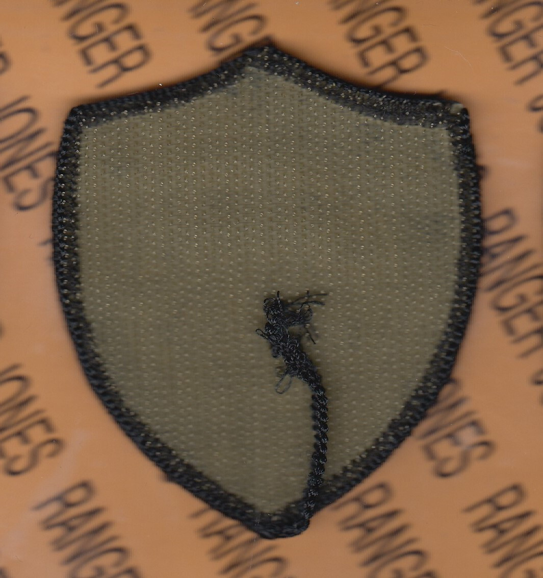 US Army Cyber Protection Brigade OCP ~3.5" w/ HOOK shoulder patch m/e