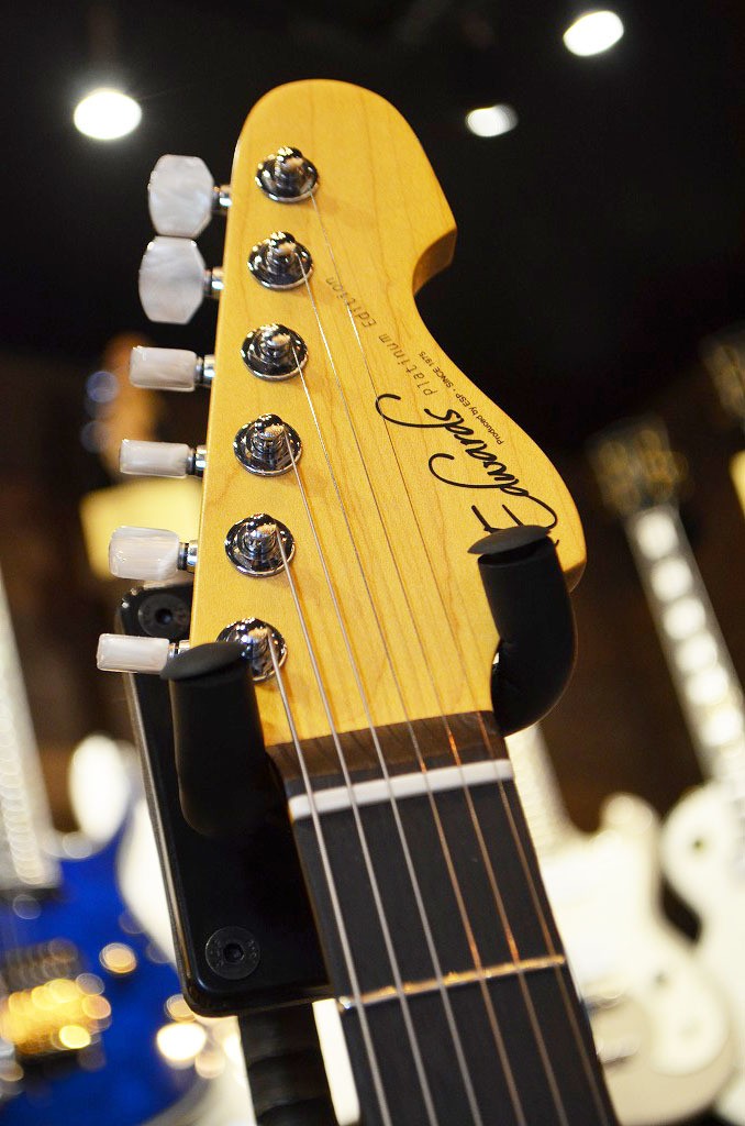 EDWARDS Platinum Edition KARMASTER