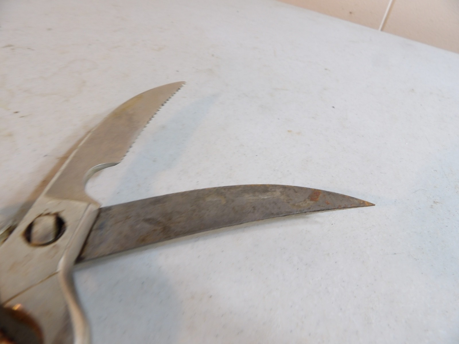 Drezack Poultry Shears