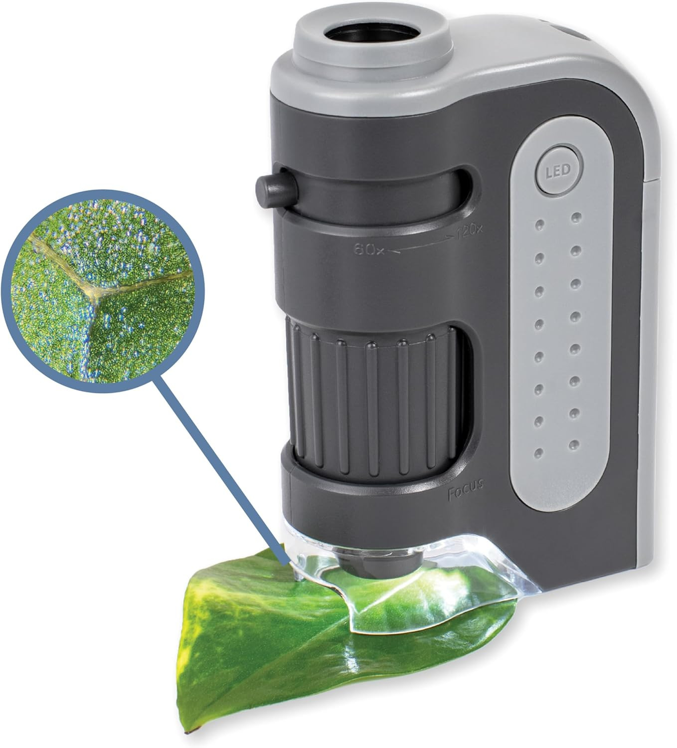 Carson Microbrite plus 60X-120X Accurate LED Lighted Pocket Microscope, Portable