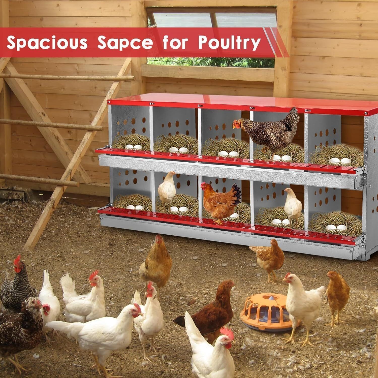 10 Hole Chicken Nesting Boxes Chicken Egg Laying Box with Rollout Egg Collection