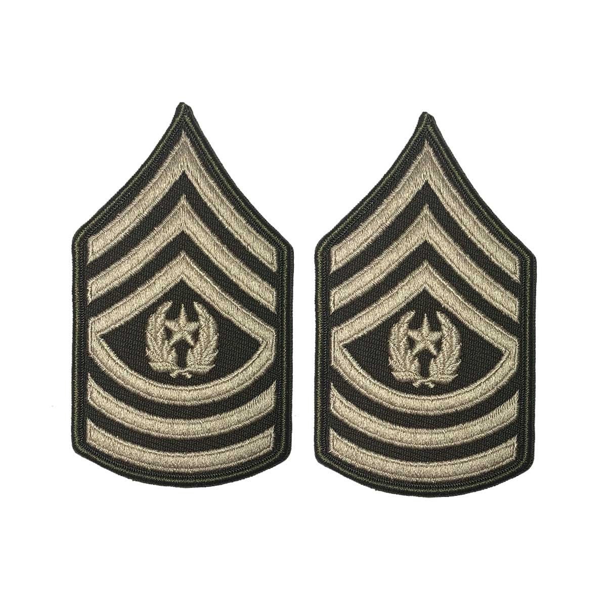 AGSU Command Sergeant Major Female Enlisted Chevron-Veteran Owned Business