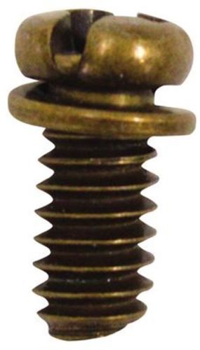 Westinghouse 7704700 - 10 Piece Brass Motor Screw Kit