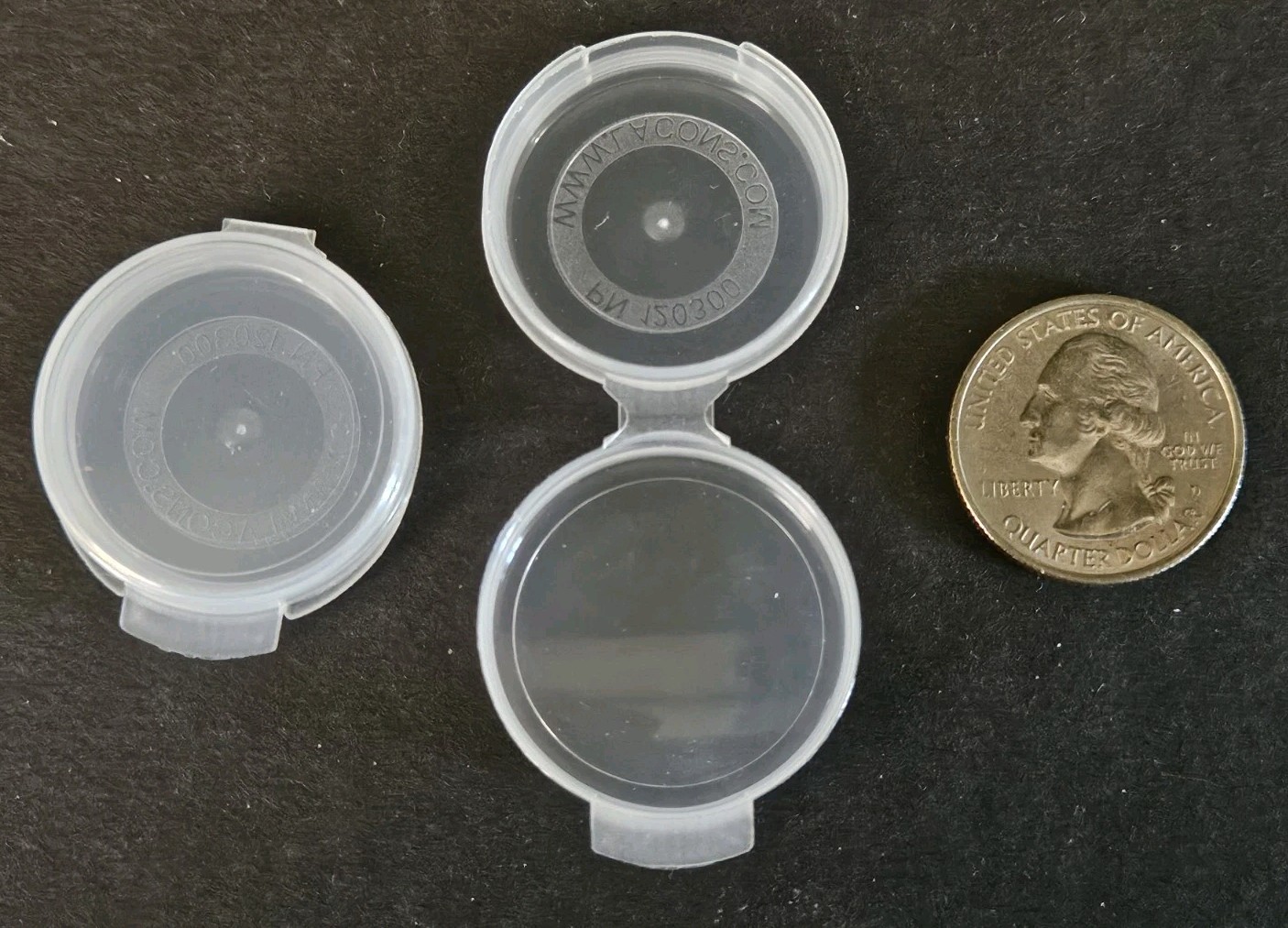(100) Plastic Hinged Lid Storage Containers