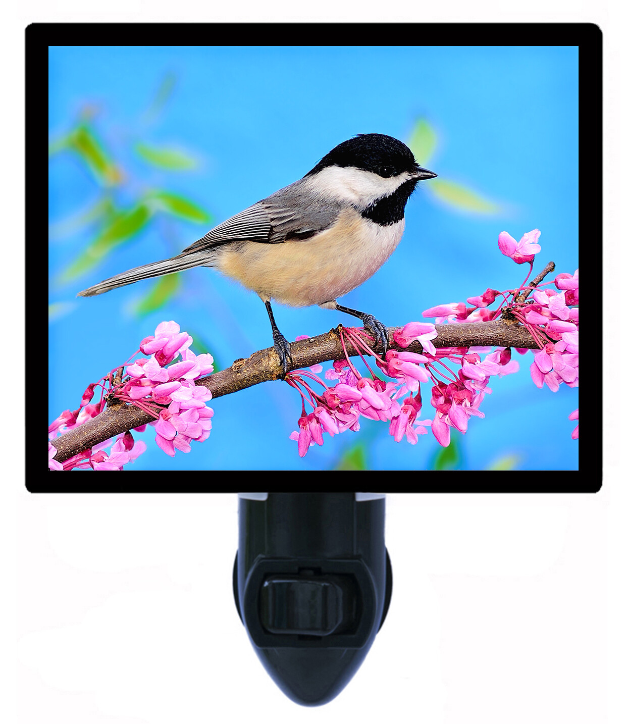 Bird Decorative Photo Night Light, Spring Chickadee