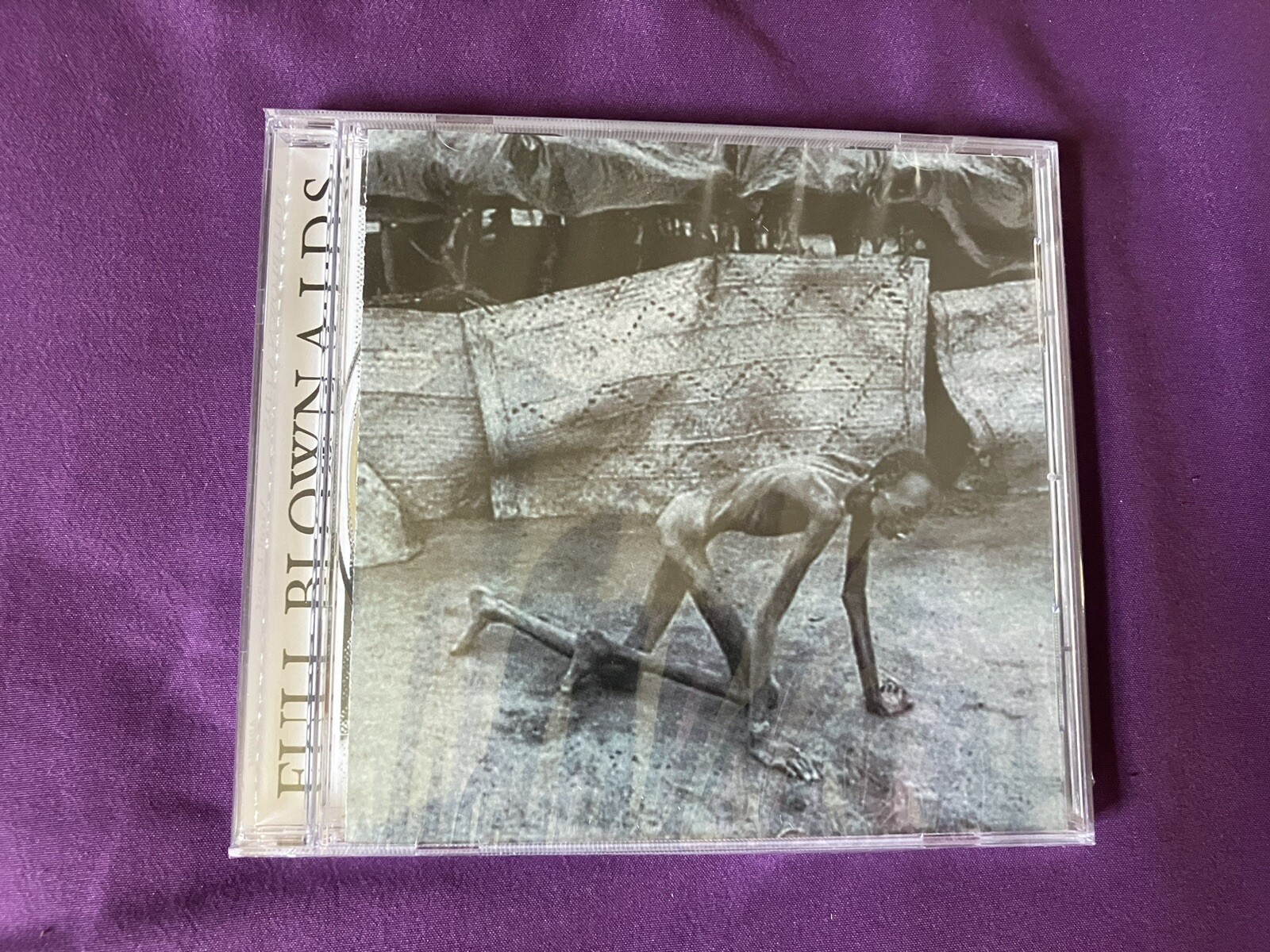 NEW Full Blown A.I.D.S. – Viral Load CD 2011 Audial Decimation Seth Putnam AxCx