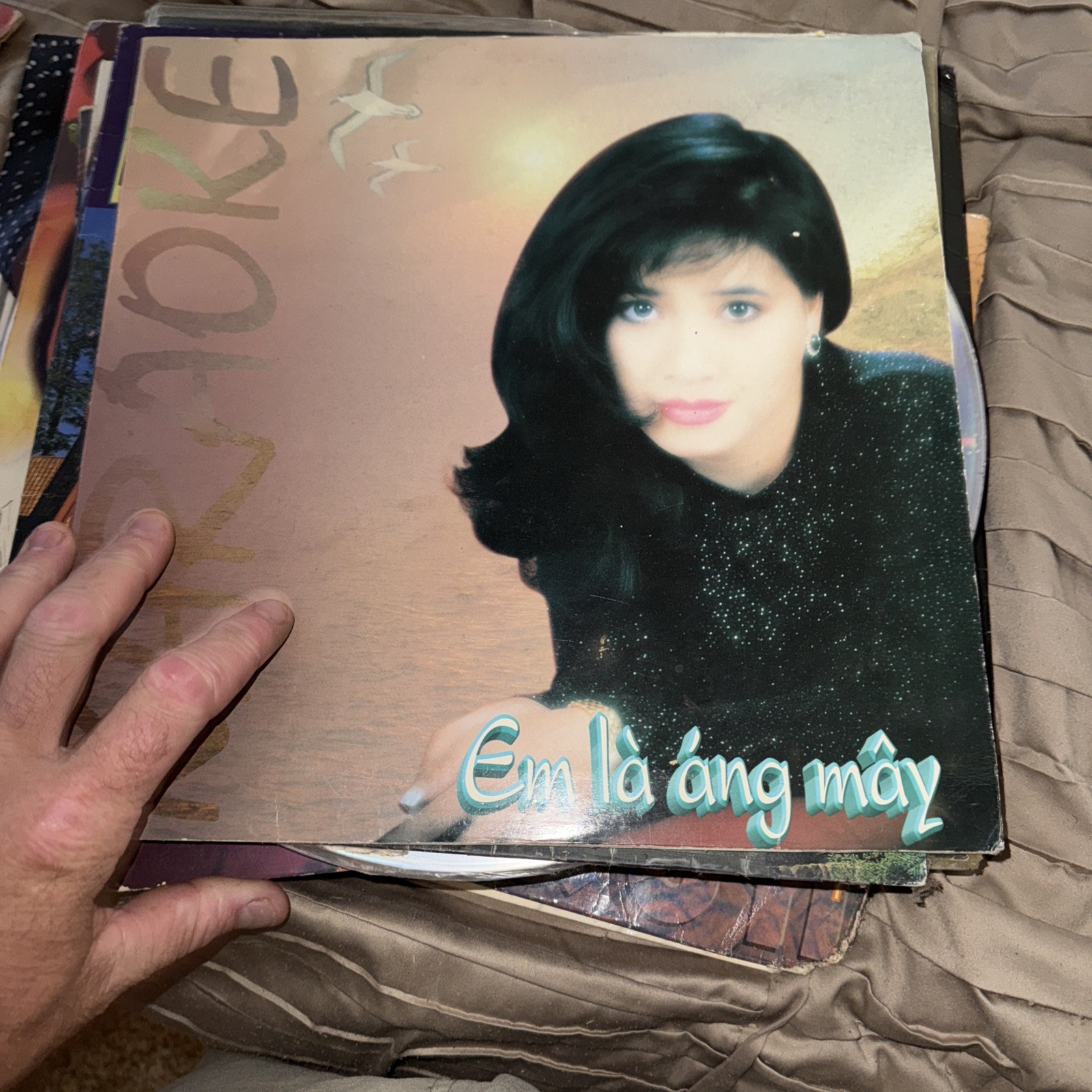 Laser Disc Karaoke Em La Ang May