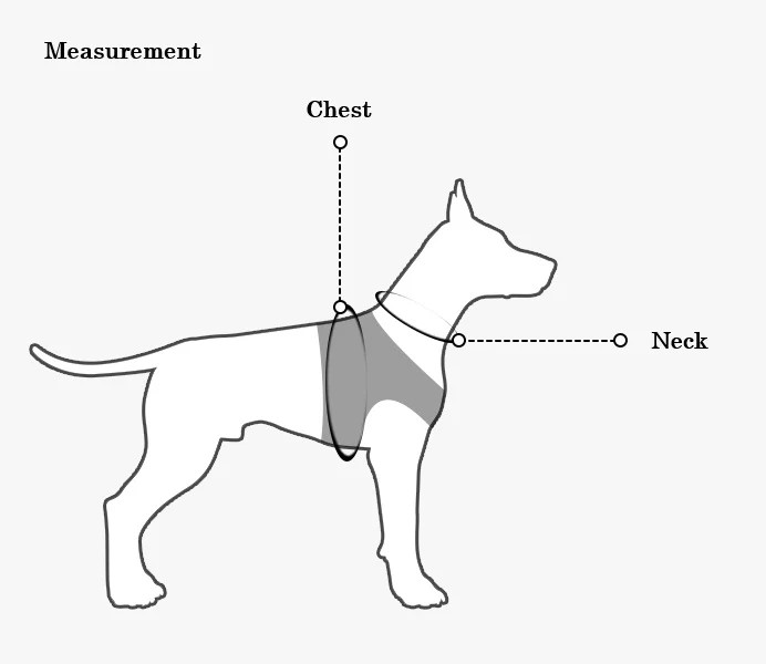 Step-In Small Dog Harness and Leash Set